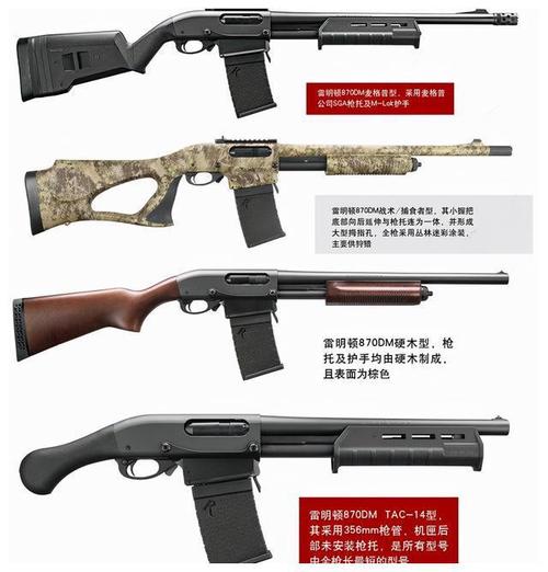 霰弹枪排名第一名
