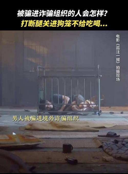 缅北禁地破解app下载