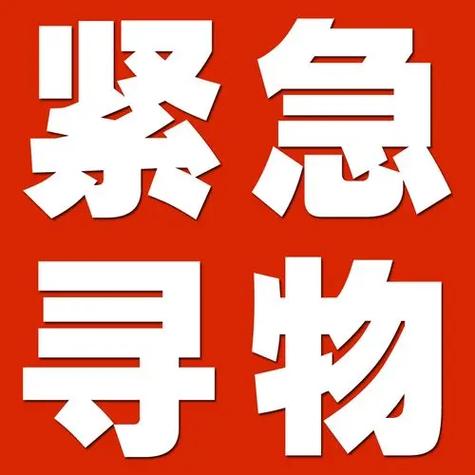 寻找物资挂