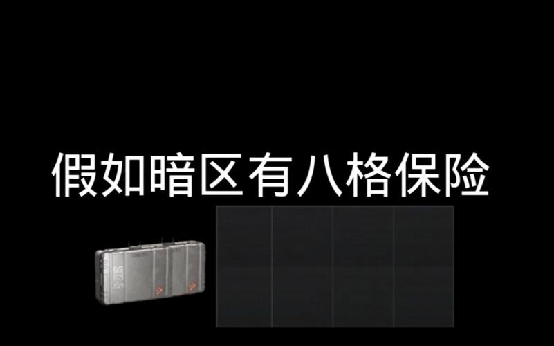 暗区能够看见保险里东西的是什么挂