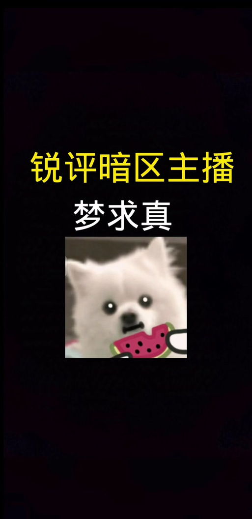 暗区突围梦求真!