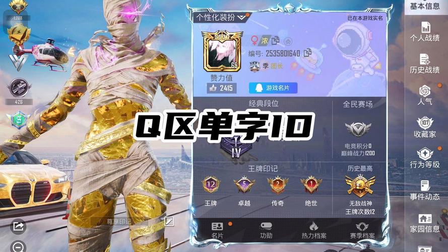 和平精英单字id修改器