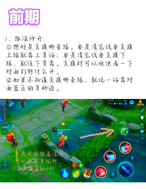 辅助如何为队友提供视野