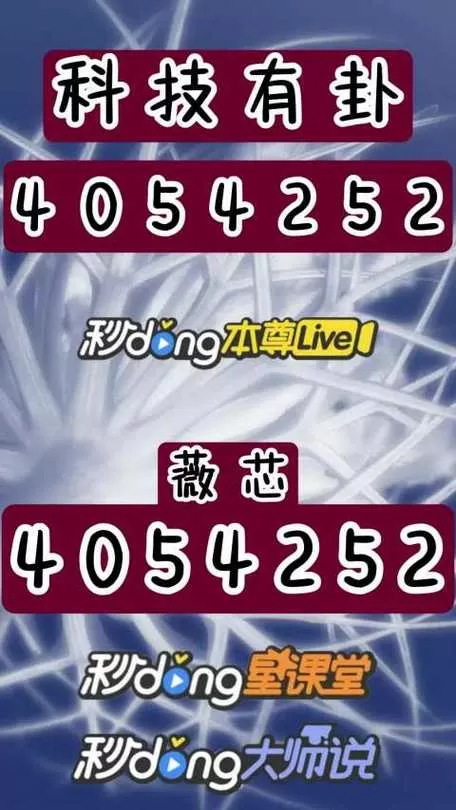 小鸡模拟器金手指代码