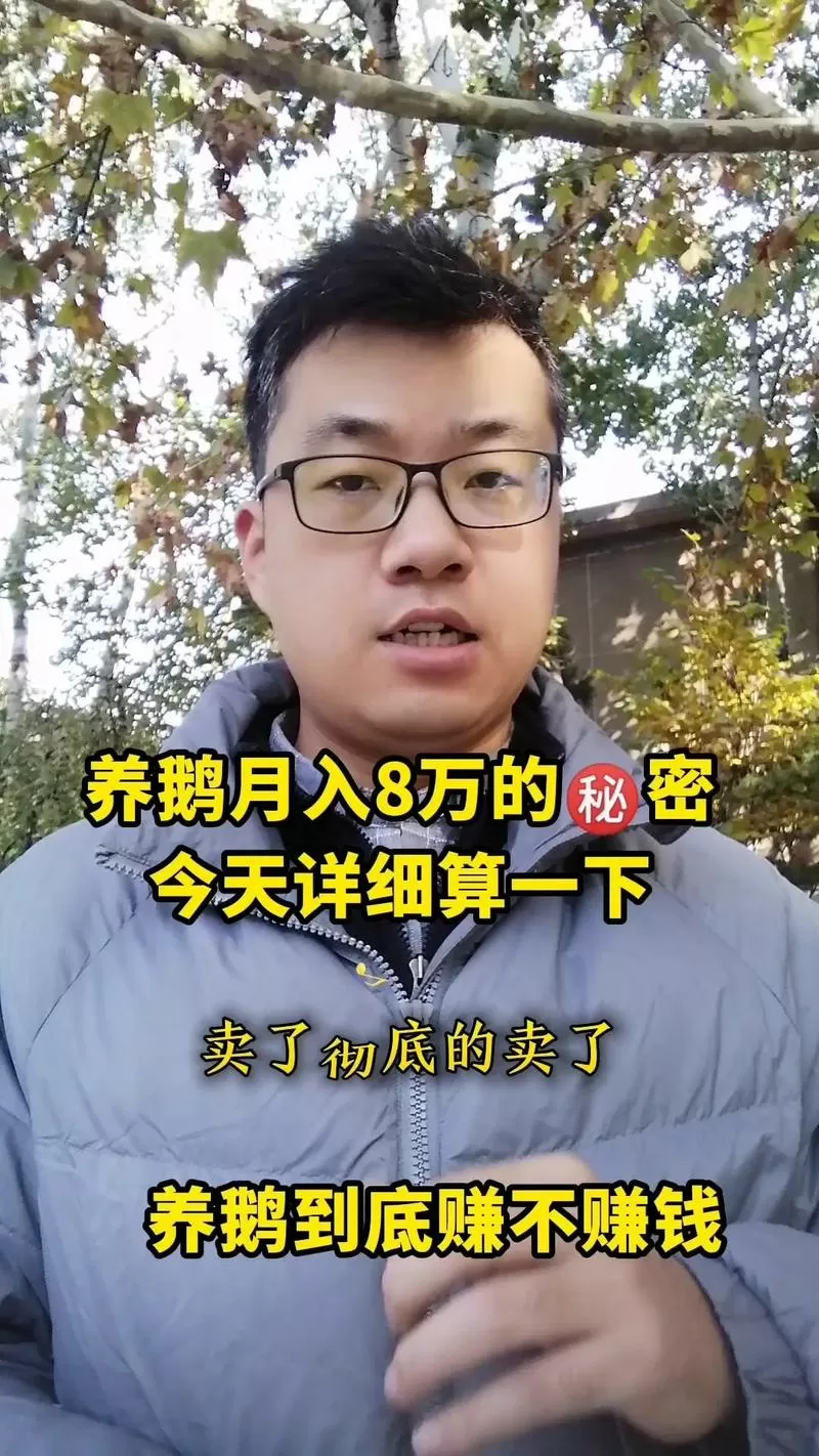 养鹅3000只利润一览表