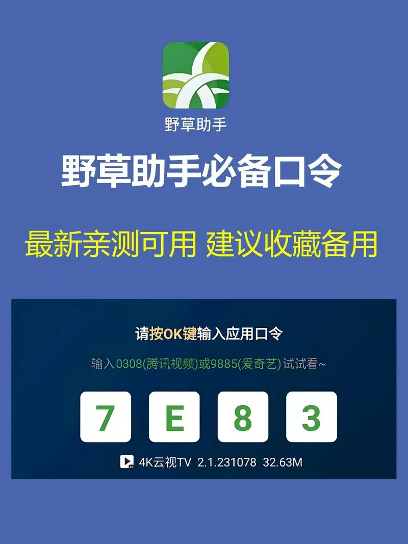 2025野草助手新电视家口令缩略图