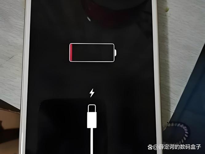 手机没有充电为什么显示充电状态