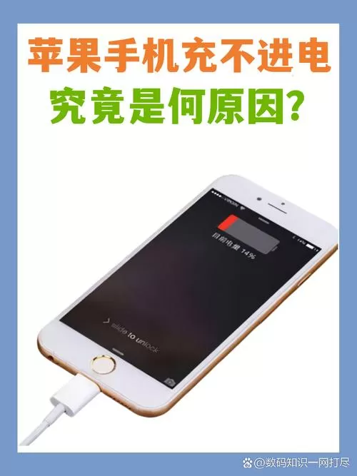 苹果手机充不进电什么原因怎么办