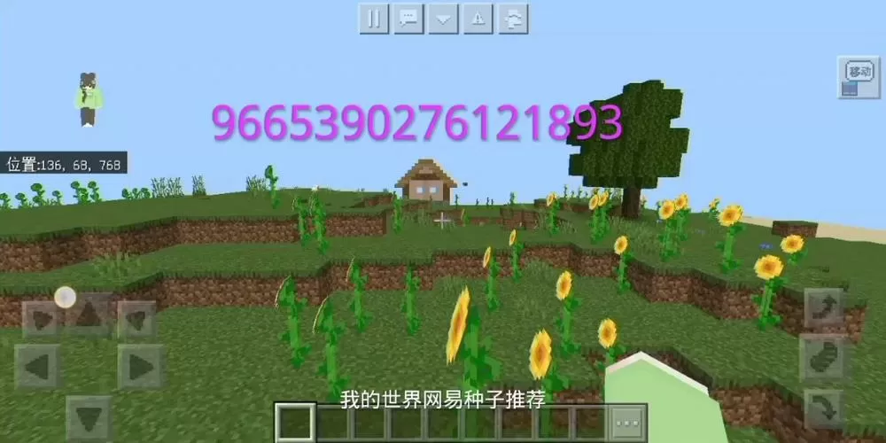 我的世界网易版丛林种子