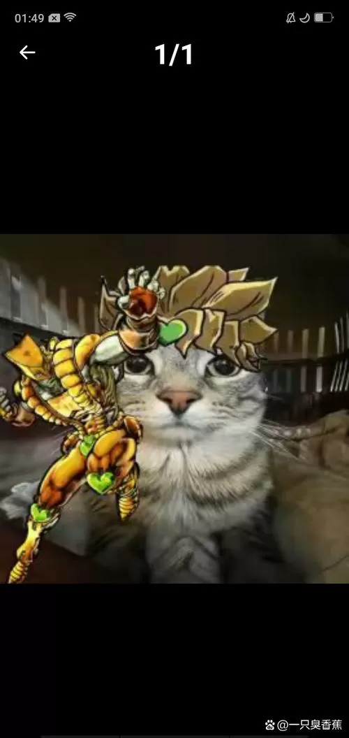 猫咪大战争JOJO魔改版