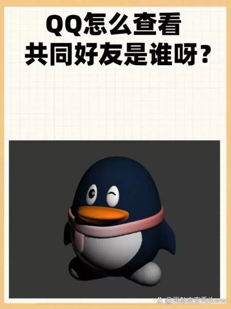 怎么看一个qq群里有没有自己的好友