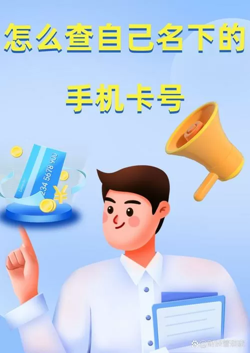 一个人名下手机号码可以查吗?