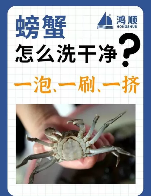 螃蟹清洗处理方法