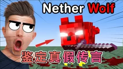 MC老哥鉴定视频真假截图