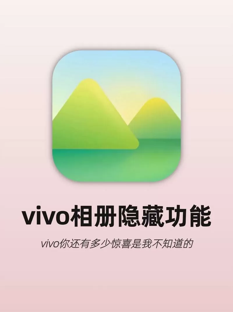 vivo有没有隐私相册