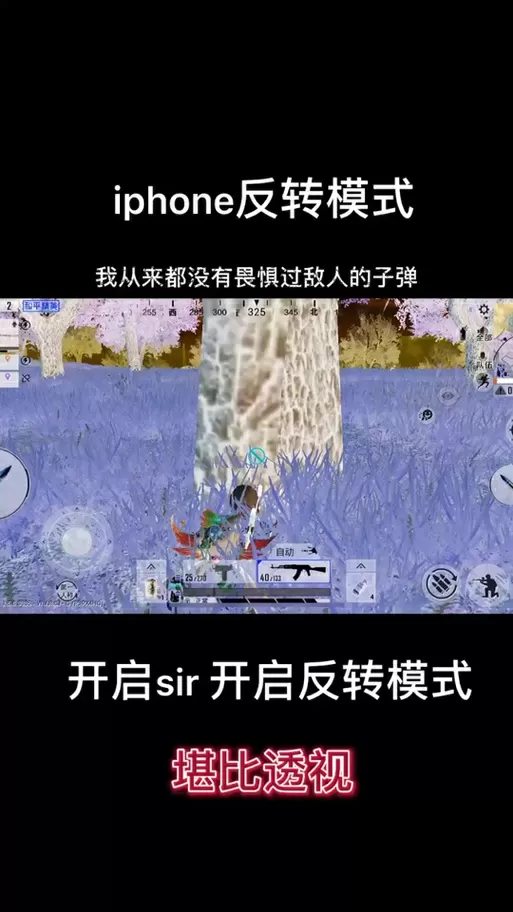 和平精英ios颜色反转截图