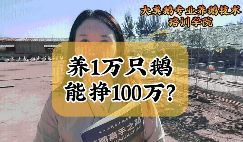 5000只鹅的利润是多少