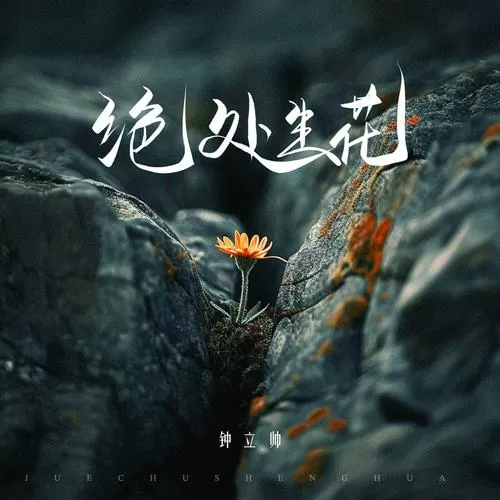 谢处生花图标