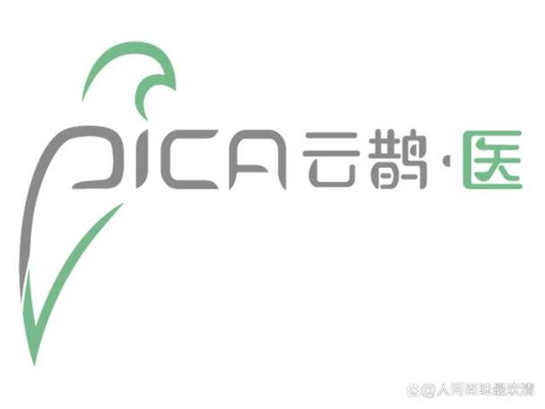 云鹊医靠谱吗