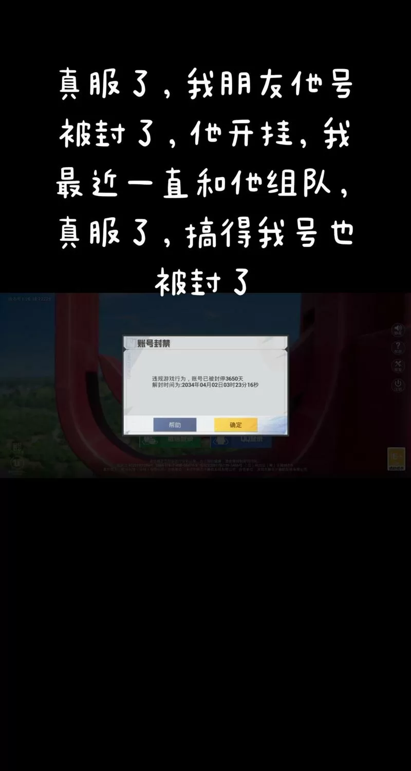 和平精英不能举报队友了