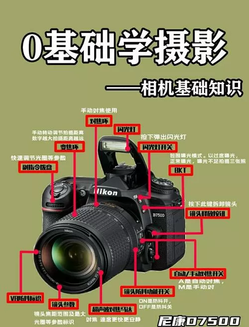 尼康相机基本使用教程