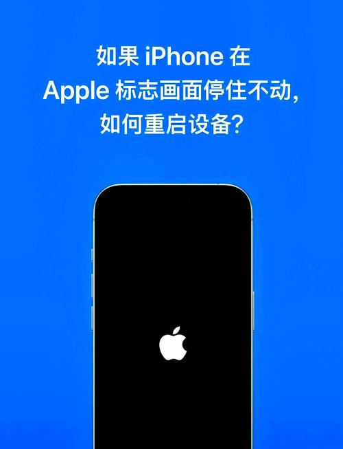手机无法开机怎么导出数据