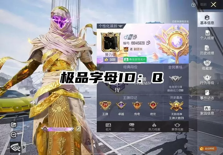 和平精英id高质量