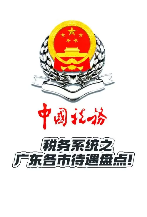国税账号是什么