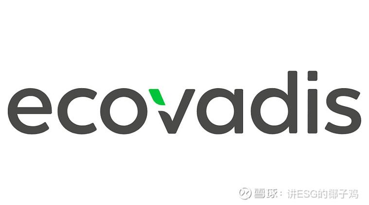 半自然溶剂哪里刷
