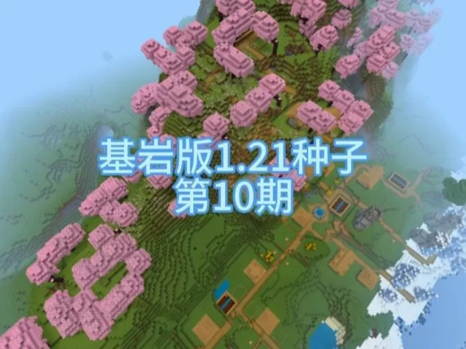 我的世界基岩版孤岛种子1.21