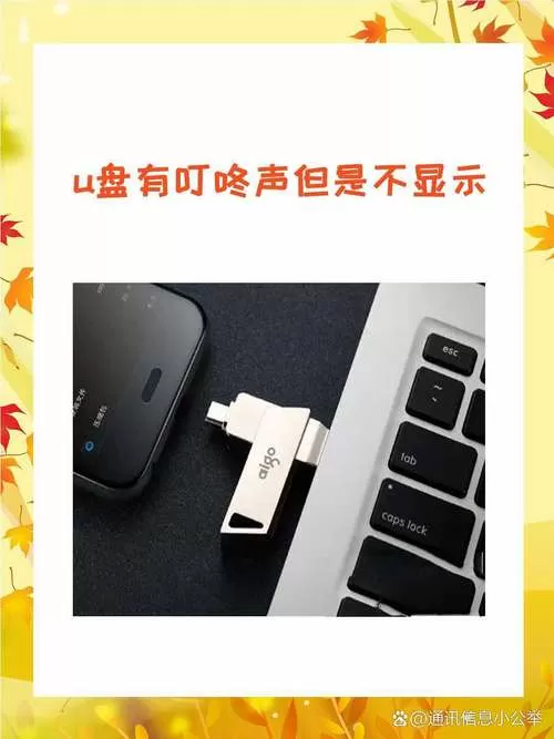 音箱usb插u盘没反应