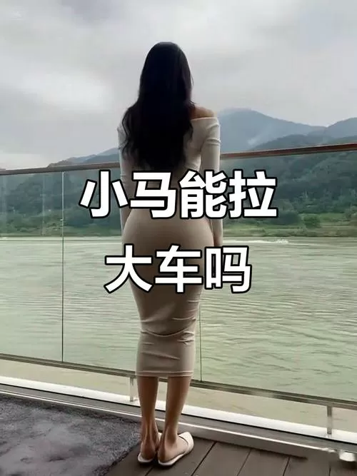 稀缺小马拉大车妈妈视频图标
