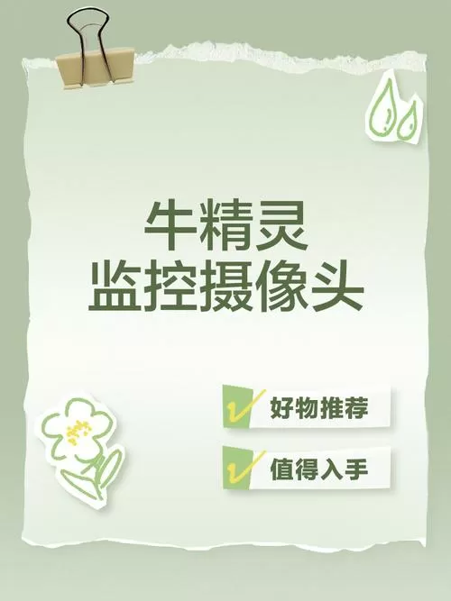 牛精灵摄像头怎么复位
