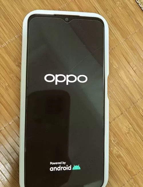 oppo清除数据后卡在开机画面