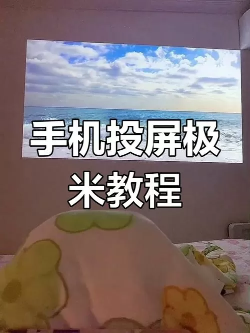 极米怎么设置投屏大小