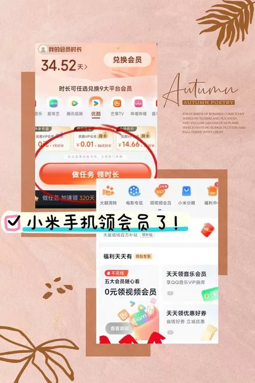 小米会员激活码 免费领取截图