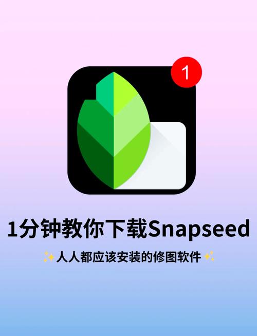 snapseed正版安装