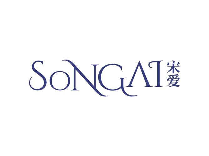 小宋爱聊天app官方