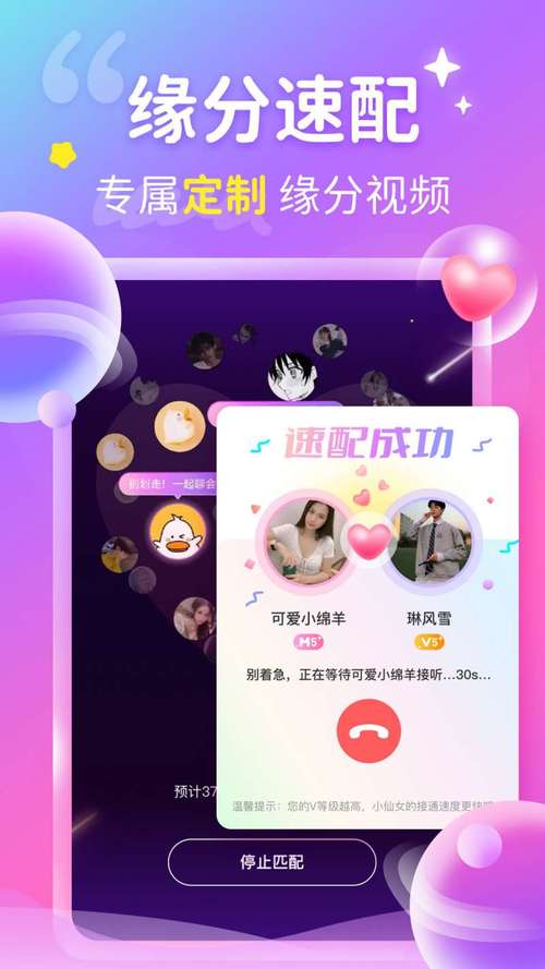 觅心一对一平台