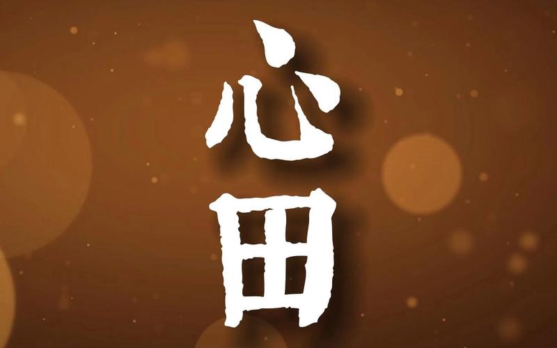 心田app免费截图