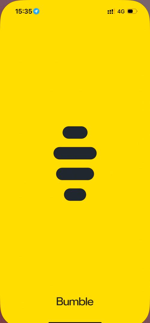 bumble5.400官方正版截图