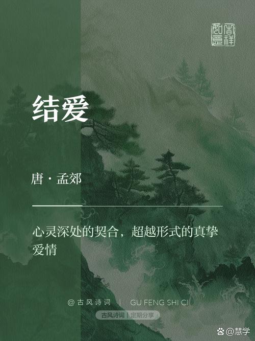 结爱免费全集