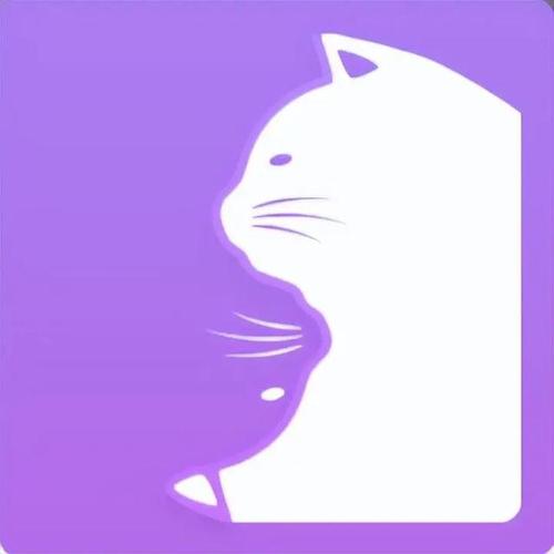 打开猫聊