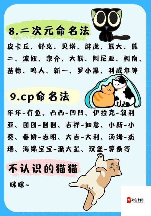猫咪www最新地域网名怎么取海外
