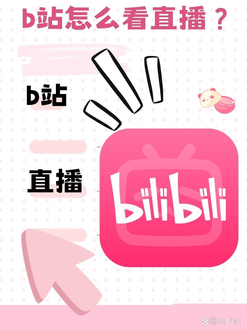 B站私人直播间app安装最新版本截图