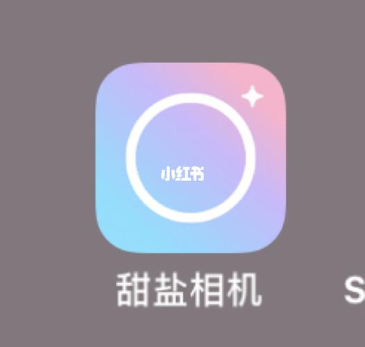 甜盐链接