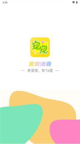 宠宠语音是正经软件吗