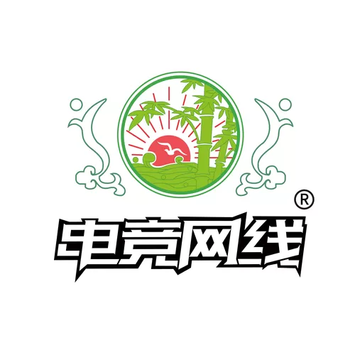 网线