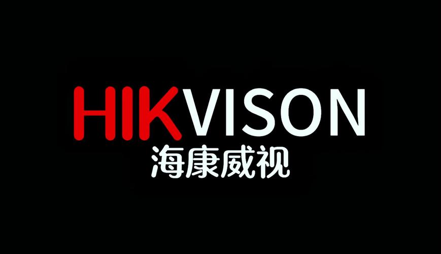 海康播放器截图