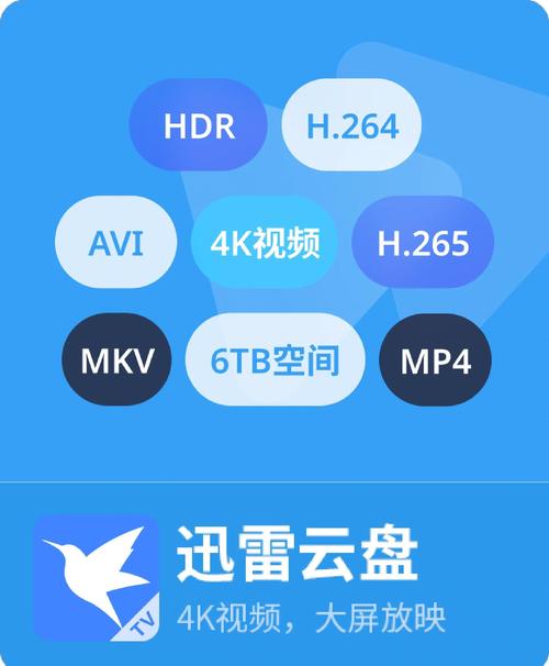 迅雷观看视频播放器最新版本更新内容